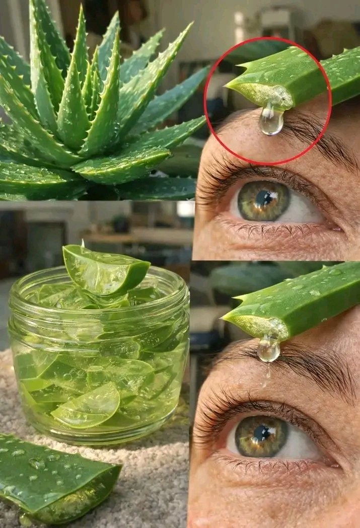 MURABIZI UKUNTU ALOE IRURA 
NONEHO TUBWIRANE 
BWIRA MUGENZAWE
MUGENZAWE ABWIRE MUGENZIWE
NA MUGENZIWE ABWIRE MUGENZIWIWE,,