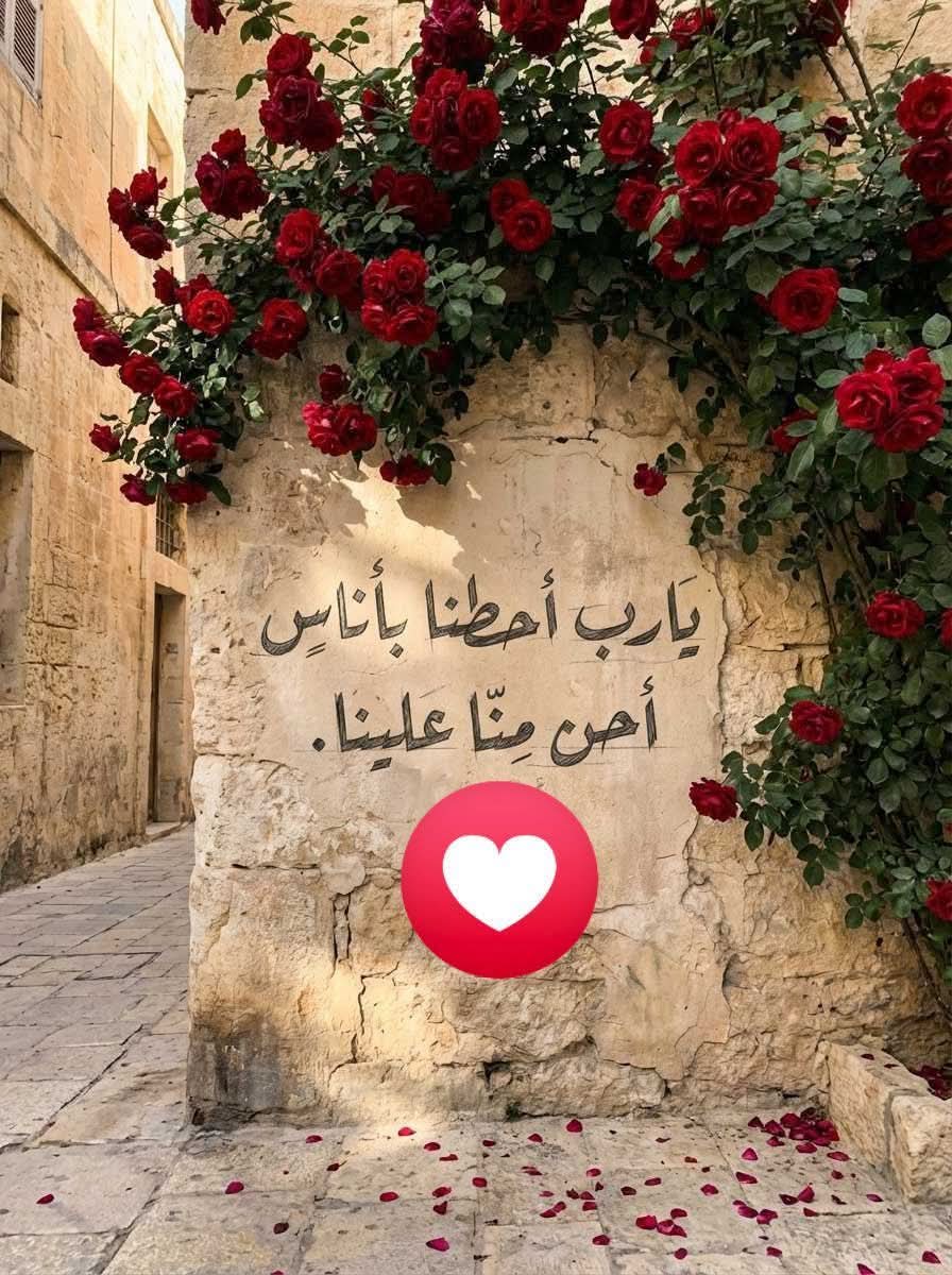 لطف محمد tweet media