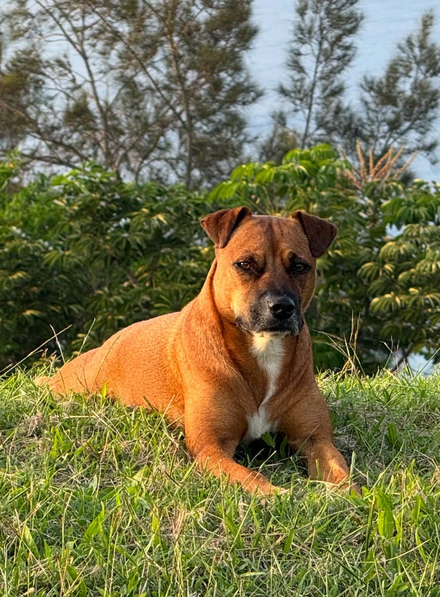 ⓧ Jack Levin ⓧ X1 tweet media