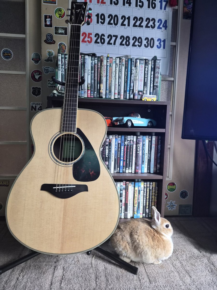 ごんちゃん ゴンちゃん仕事行ってくるね🐰❤️‍🩹お留守番宜しく🏡🌞 帰りは遅くなるよ