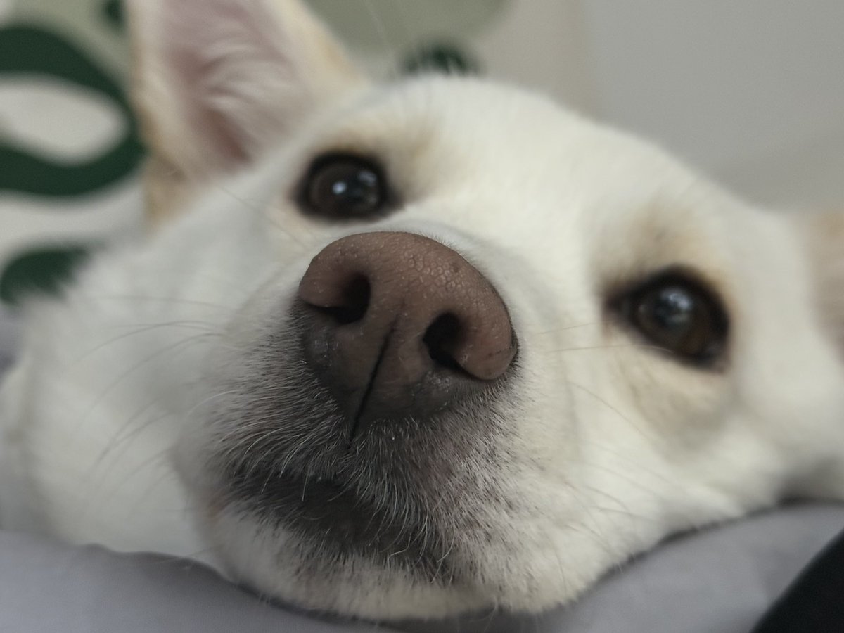 갑자기 가나디 자랑하기.