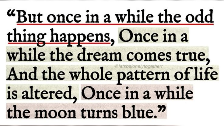 Literarium tweet media