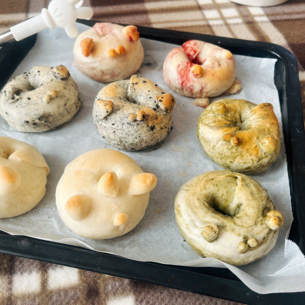 kieu_nr_'s tweet photo. 自宅でベーグル屋さん🥯

小さくてかわいいの！いろんな種類の味に挑戦してみた🥹✨

食べきれないので冷凍(◦ˉ ˘ ˉ◦) https://t.co/IQB4ecIvVG