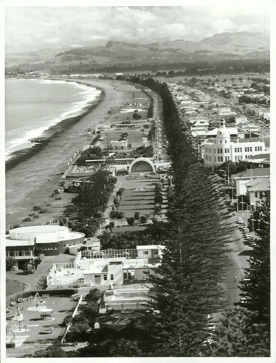 Early Aotearoa New Zealand tweet media