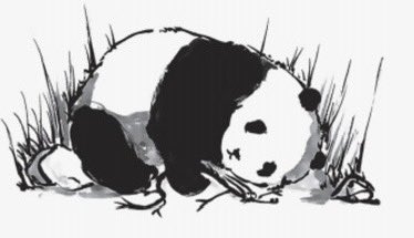 💭 کتاب پاندای بزرگ و اژدهای کوچک رو دوباره خوندم.

یه جا پاندا می‌گفت؛ ”روزهایی هست که بلند شدن خودش یه پیروزیه“.