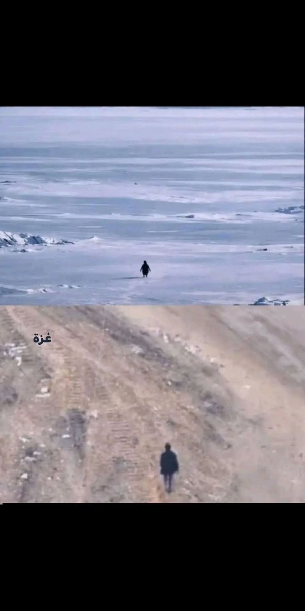 كسرهم بطريق، ولم تكسرهم غزة بكل جراحها ومليونَي إنسانٍ فيها.