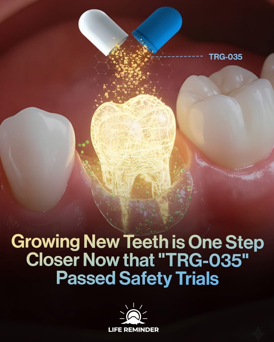 READY NOW 

You might never need a dental implant again.

The drug that tells your body to grow a third set of teeth has officially passed its first human safety test with zero side effects. 

It works by blocking the protein that stops your "backup" teeth from forming.

Not
