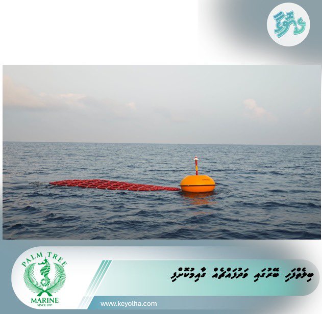 ބިލެތްފަހި ބޭރުގައި ވަދުފައްޗެއް ގާއިމުކޮށްފި
keyolha.com/news/8770/