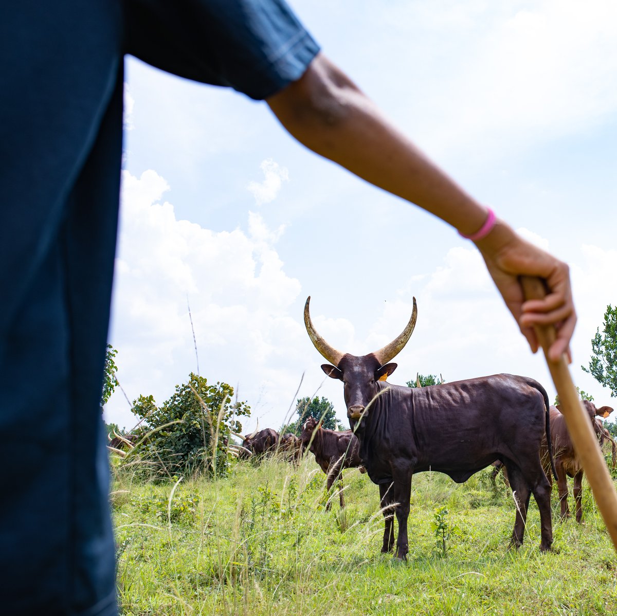 Mucyo WaKera tweet media