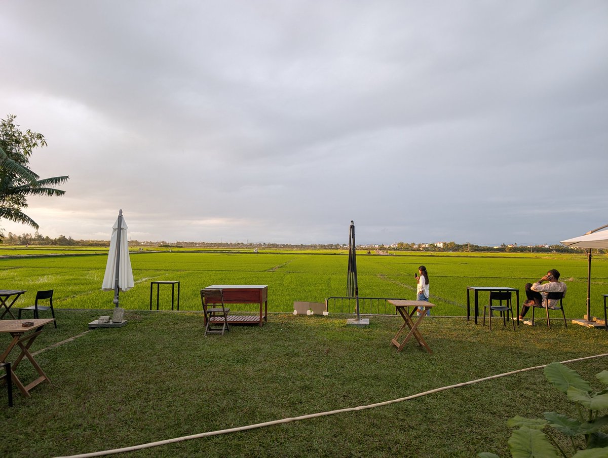 kyudo tweet media