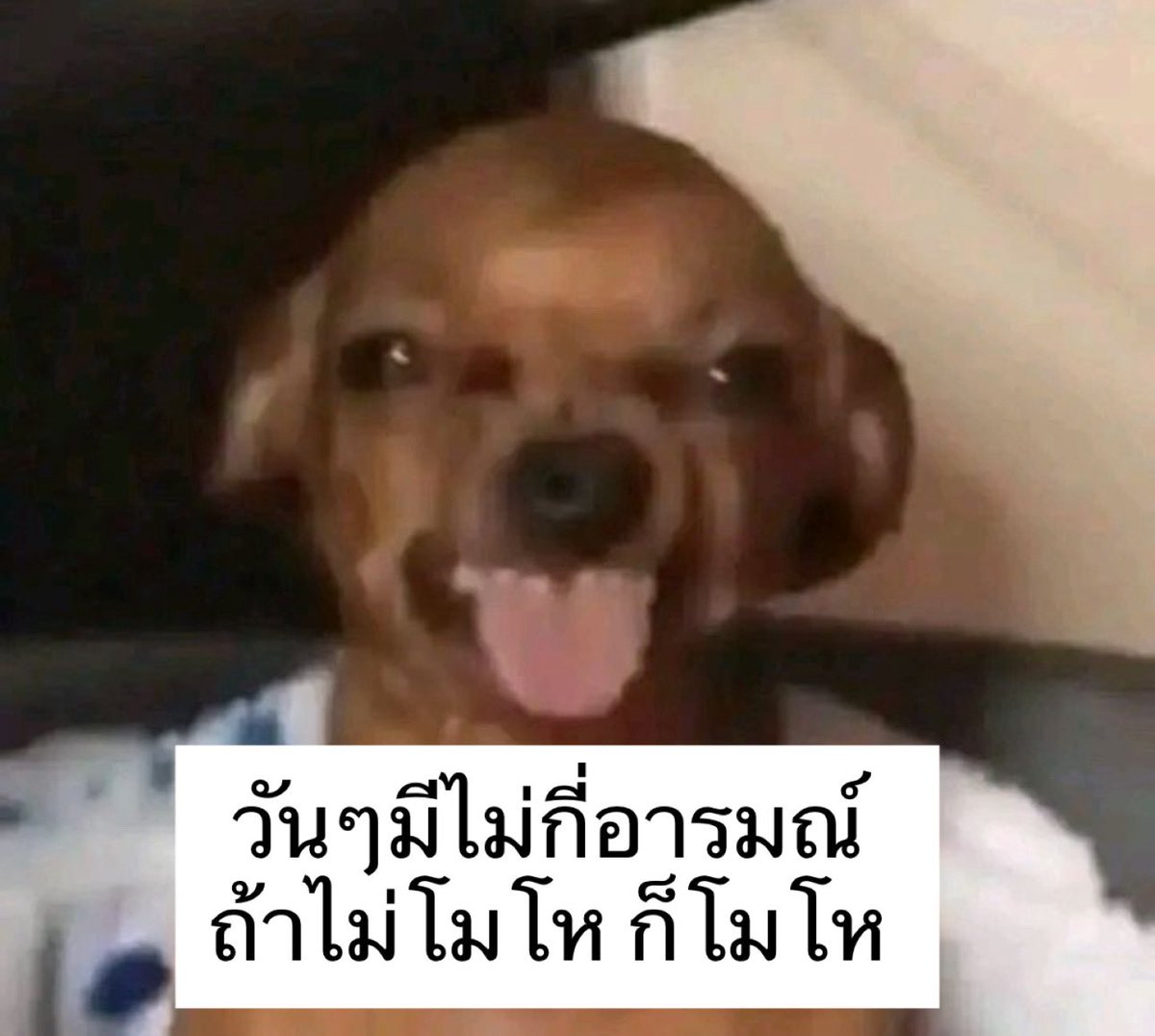 sfkkfs_'s tweet image. ขึ้นเร็วลงเร็ว 55555555555555555555