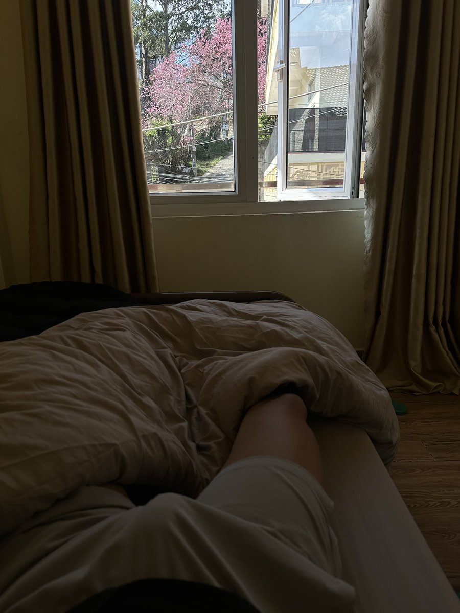 MasterVinh tweet media