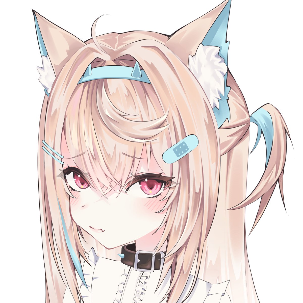 catroid 🌟🃏🍥 tweet media