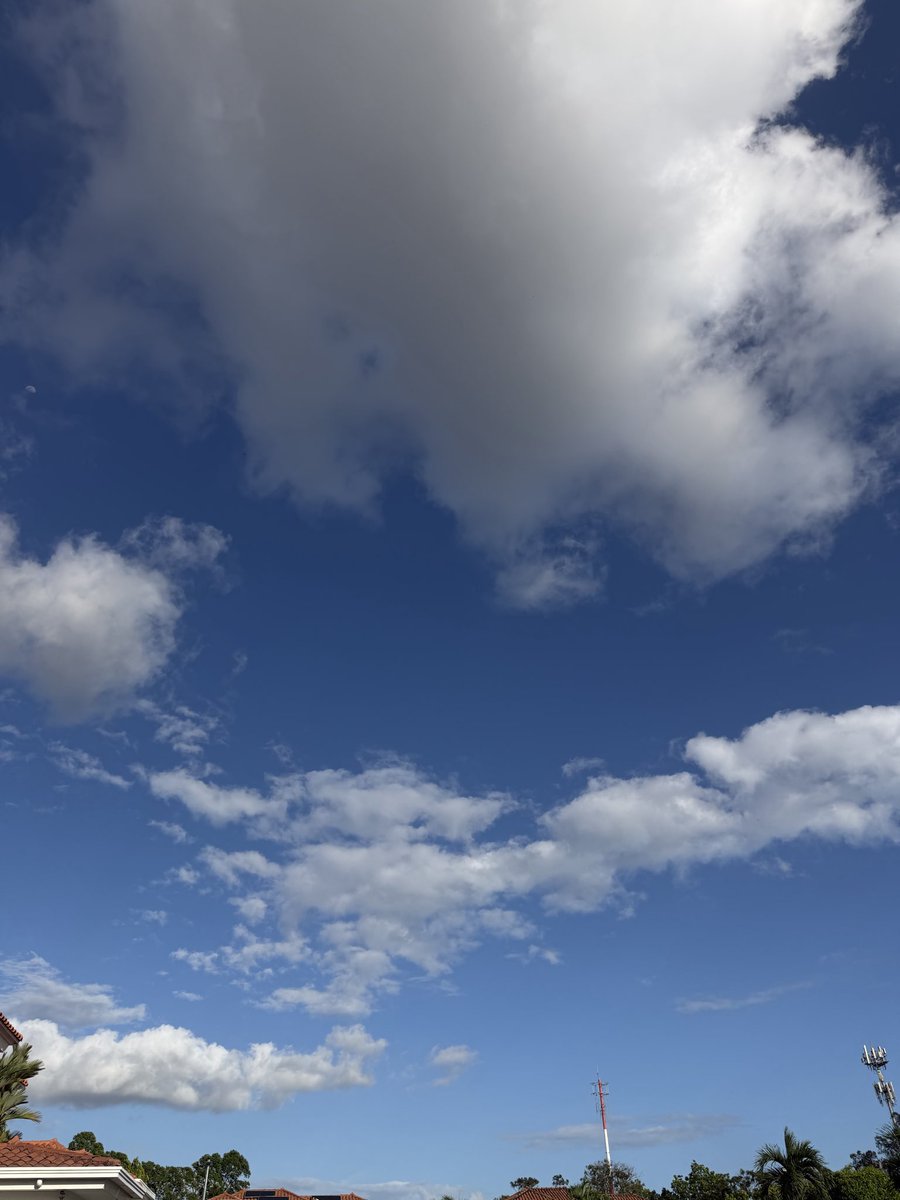 Agradecida por días de verano.