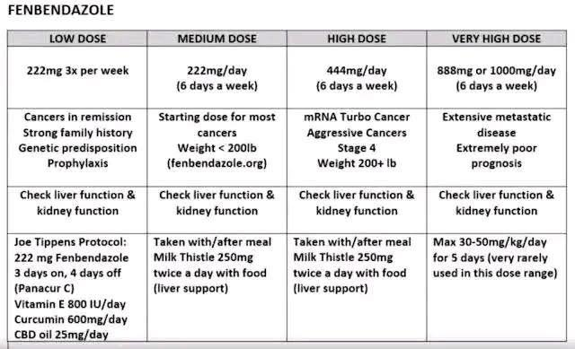 FENBENDAZOLE - fights cancer by stopping tumor cell mitosis through multiple pathways:
✅ Binds to the microtubulin of abnormal cells and disrupts its function.
✅ Inhibits glucose delivery to tumor cells.
✅ Reduces glucose uptake in tumor cells by regulating GLUT transporters.