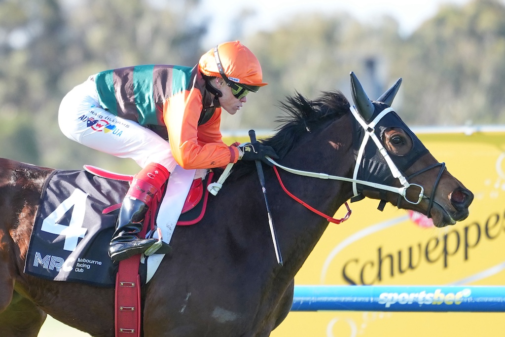 tnews_racing's tweet photo. Mornington trainer chases third Bellmaine win > Trainer Michael Mehegan will chase a third win in the Geoffrey Bellmaine Stakes when he saddles Bossy Benita at Caulfield.
  https://t.co/IfrTrSCmEX https://t.co/ryqU1gqp6O