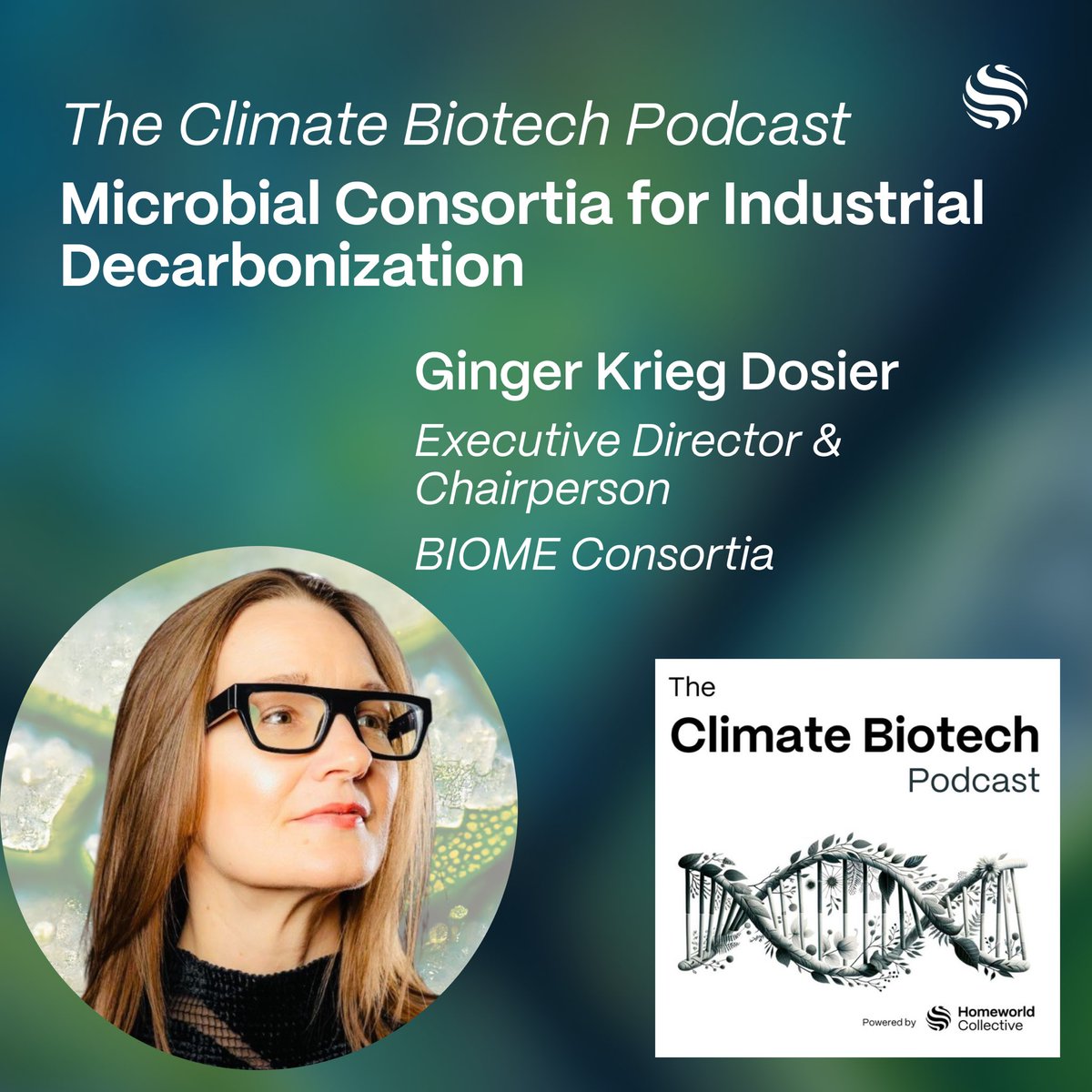 Homeworld Collective tweet media