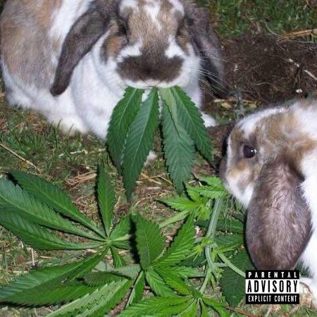 chronic_clinic_'s tweet image. 