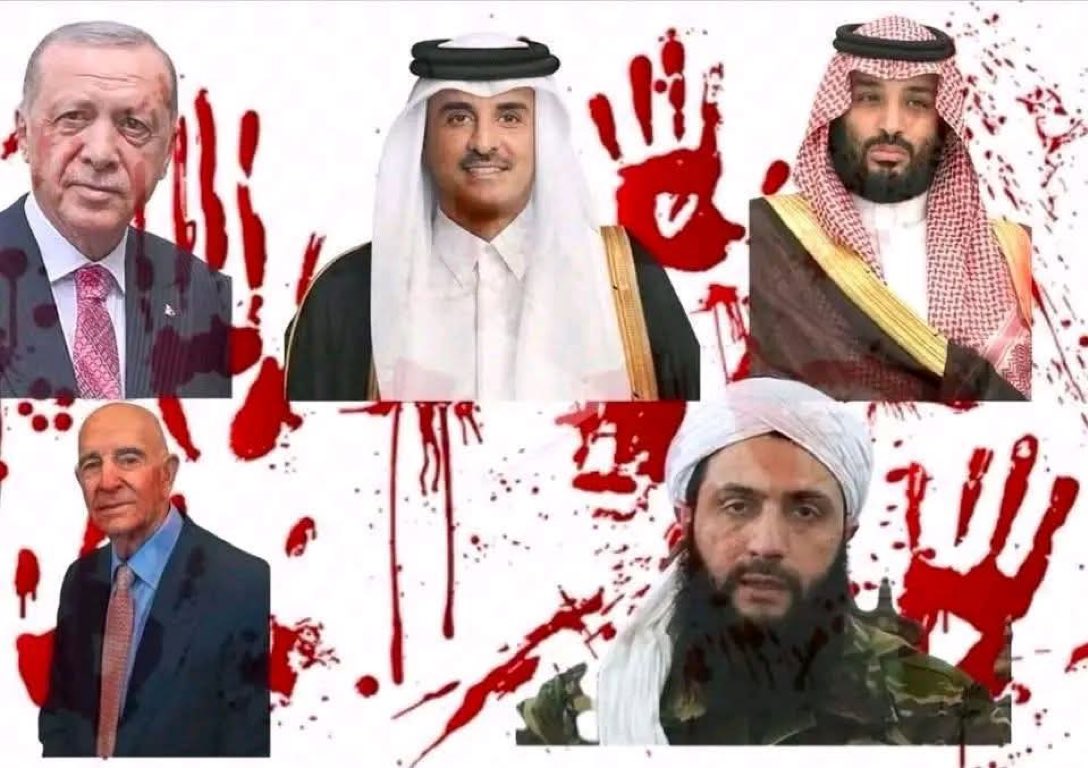 Dana Levi דנה🇮🇱🇺🇸 tweet media