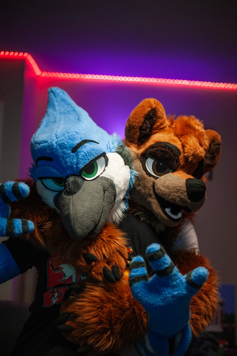 PJ / Mordecai tweet media