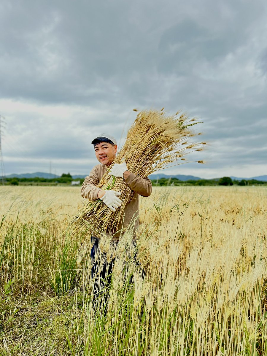 早瀬直久(はやせなおき) tweet media