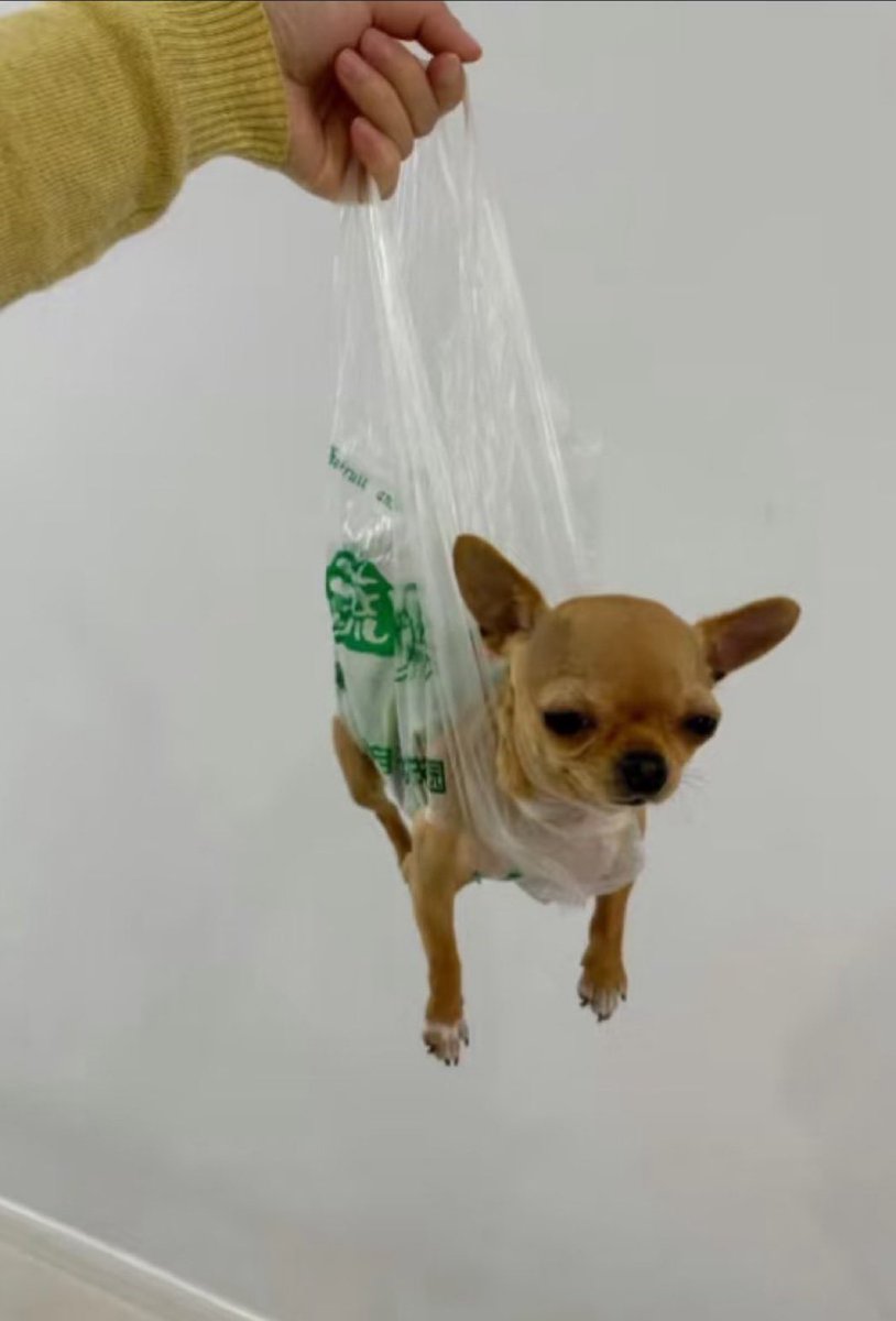 와와 운동 많이 된다