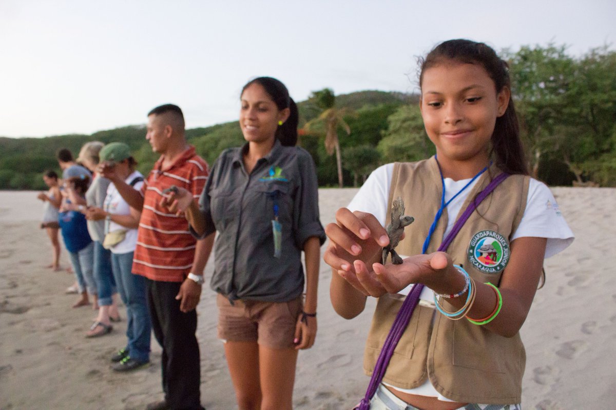 SEE Turtles tweet media