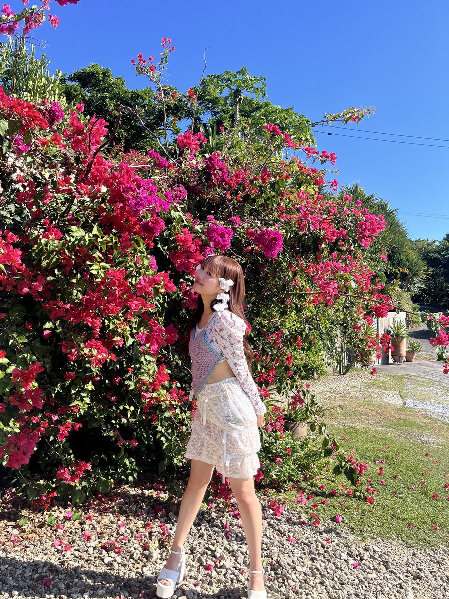 LOVEイヤイヤ期 mu-moショップ限定盤（吉川ひよりサイン入りフォトブック） LOVEイヤイヤ期 mu-moショップ限定盤（吉川ひよりサイン入りフォトブック）