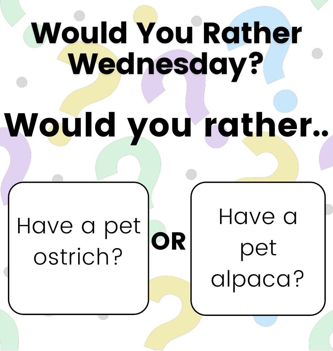 BpaNatalia's tweet photo. What would you rather have?

#givingpurposetopotential #BPA #amplifyyourimpact #bpaconnect https://t.co/VIWfx8vSmH