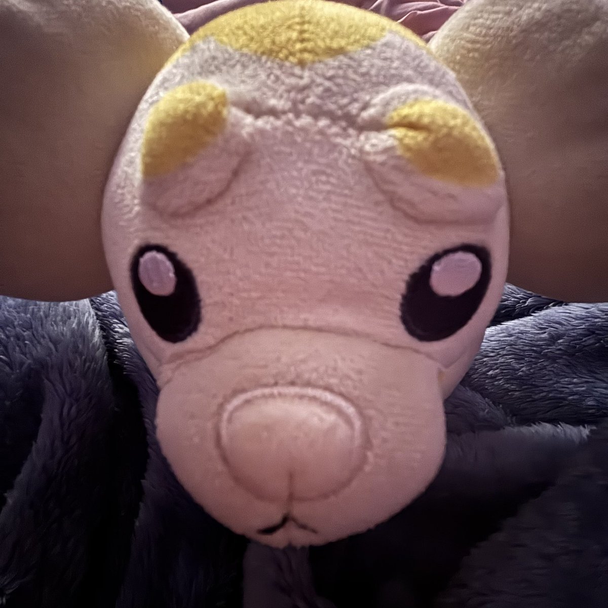 PlanetaryThorns's tweet photo. I love my stupid little son. One braincell in this thing. His name is fig. https://t.co/GQmMJ4fPHX