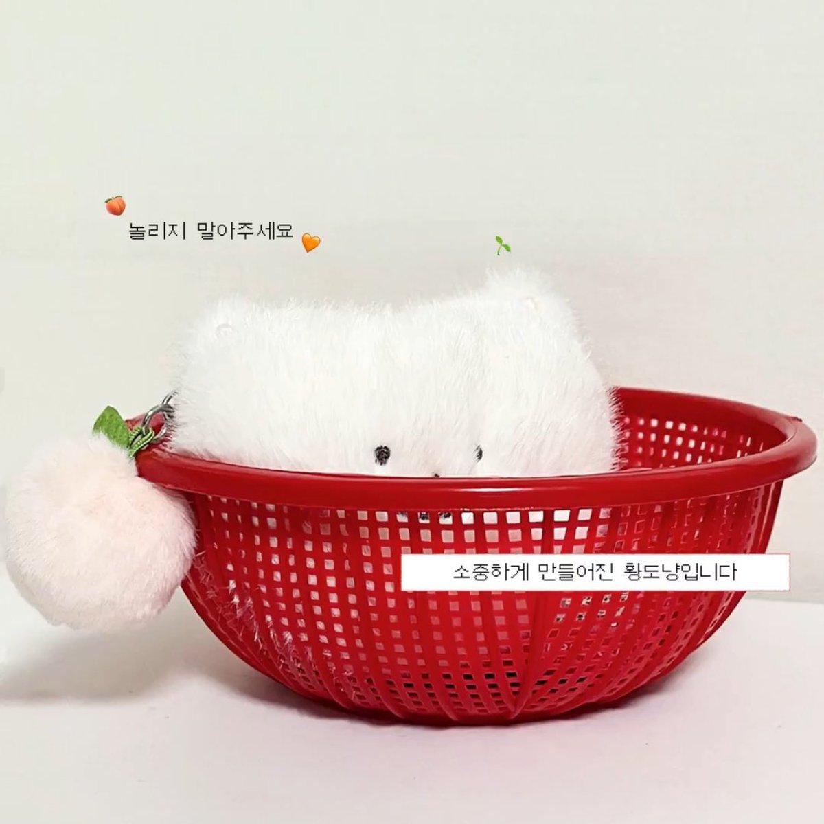 ㅋㅋㅋㅋㅋㅋㅋㅋㅋㅋㅋㅋㅋㅋㅋㅋㅋㅋㅋㅋㅋㅋㅋㅋㅋㅋㅋㅋㅋㅋㅋㅋㅋ황도냥 대가리 크다고 놀린사람 나오셈 
ㄴ황민현이요