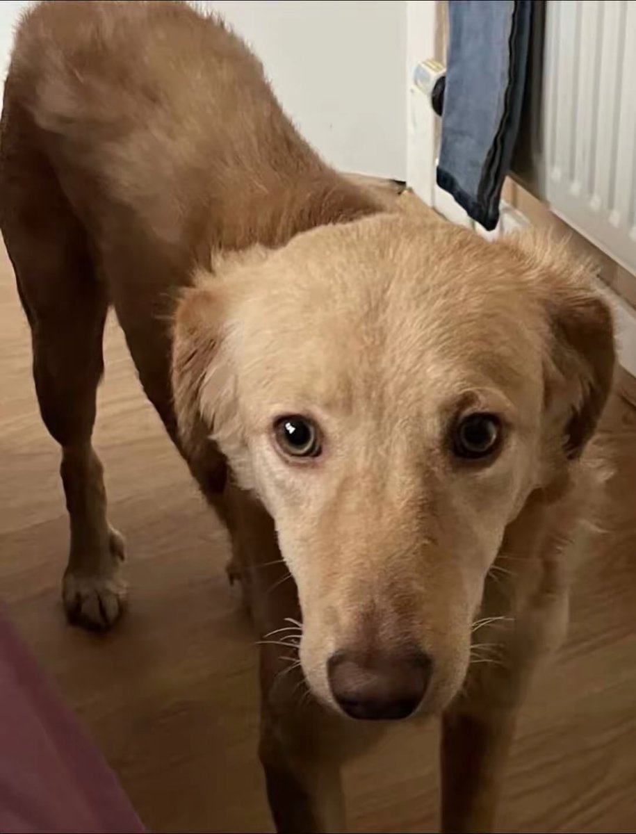 RIP eric. love and remember u forever xx tweet media