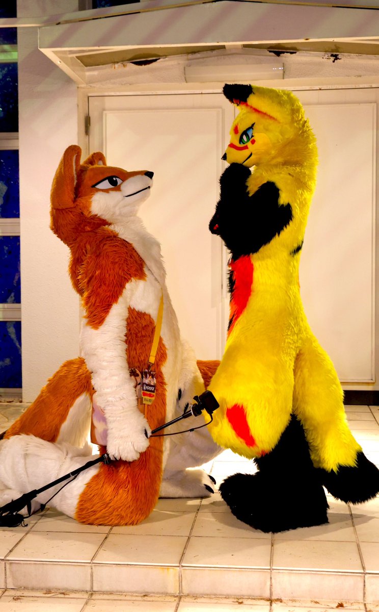 しろくま (@Shirokuma_4GLTE) / Posts / X