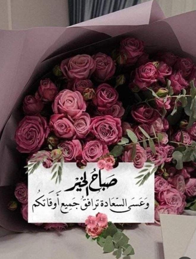 Tarim1City's tweet photo. @alamil144 https://t.co/TAxmIpx3GF