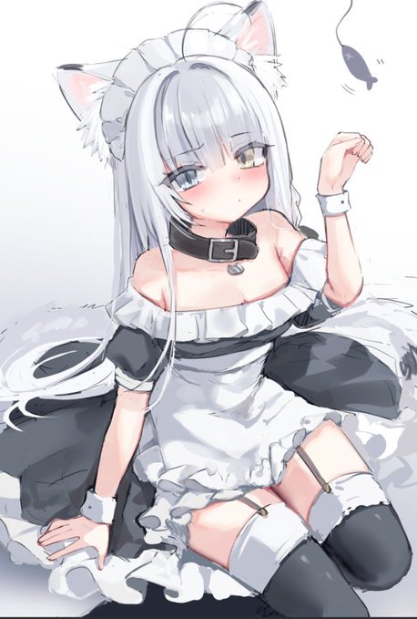 ねこ、あそんでくれてありがとう🐈 