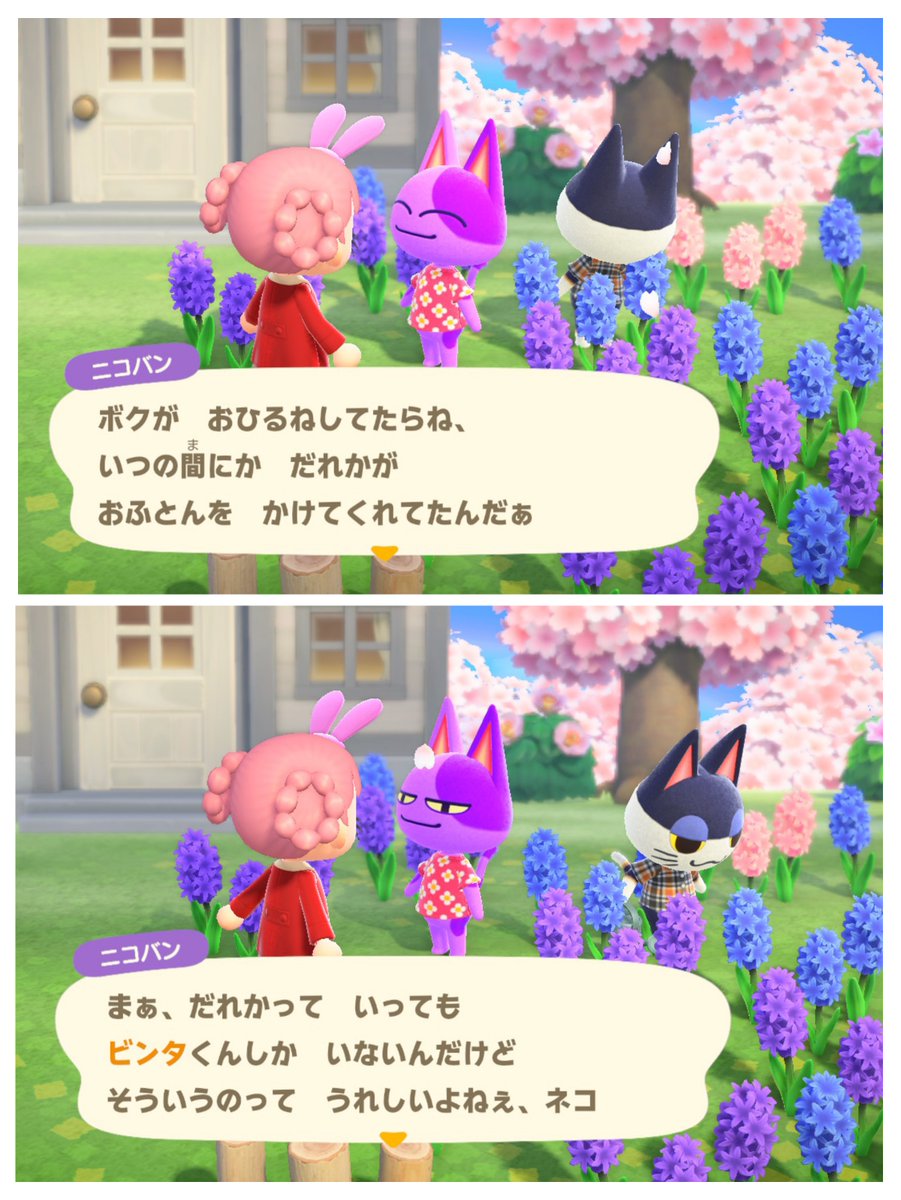 にゃん汰🍑 (@nyanta_kun618) / Posts / X