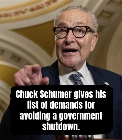 DavidJHarrisJr's tweet image. Chuck Schumer reveals his three demands to prevent Democrats from shutting down the government again: 

- End roving patrols, operations where officers drive through neighborhoods, and to tighten requirements for agents to obtain warrants before entering homes.
- Enforce…