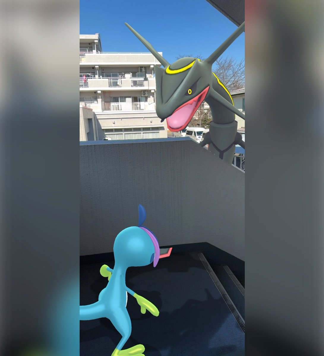 kerolimu's tweet image. 『世間話』

🐉 🌟「……たまに、下界の騒がしさが嫌になることはないか？」
🦎「あるある。僕はジメジメした暗い場所で、ただぼーっとしてるのが一番落ち着くんだ。レックウザさんは？」
🐉🌟 「我はただ、星の瞬きを数える。あれは静かで良い……」

#inteleonfamily #GOsnapshot