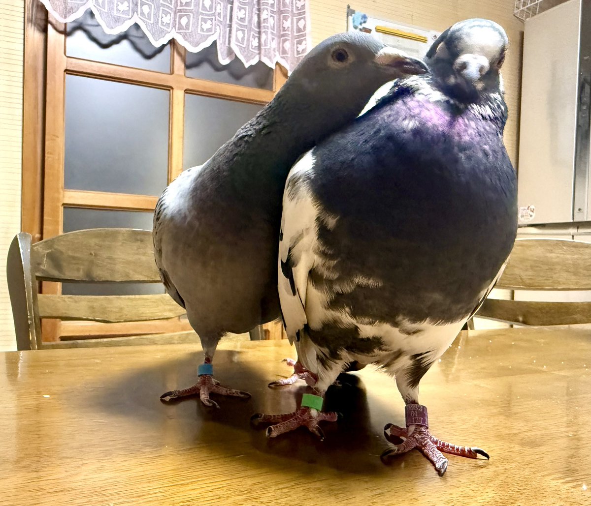 目の前で始まるこの光景… 理想の夫婦像ではないだろか？😱