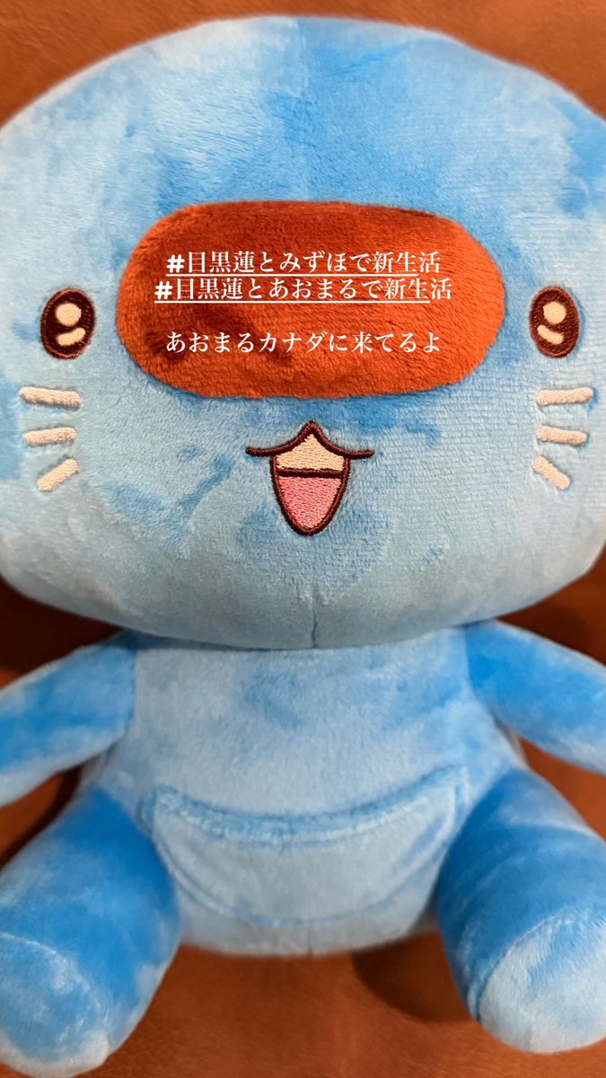 目黒蓮、カナダに「あおまる」ぬいぐるみ連れ新生活スタート