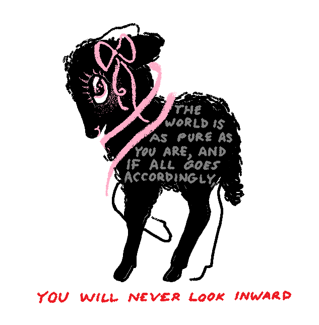 🦎 Entity 🌼 tweet media