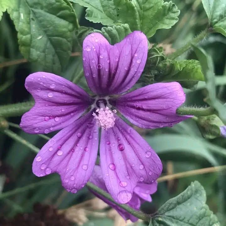 السلام علیکم ورحمتہ اللہ وبرکاتہ۔
ایک  اچھے  دن کی  دعا  کے  ساتھ
اللہ پاک آپ اور آپ کے اہلخانہ کو ہمیشہ اپنی حفظ و امان میں رکھے
آمِیْن یَارَبَّ الْعَالَمِیْنَ۔
صبح بخیر زندگی ❤️