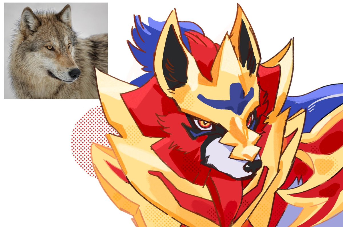 세타 セタ (@seta629211) on Twitter photo 