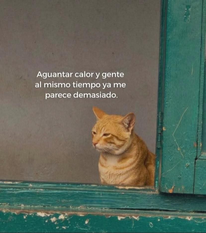 Lonely🥀 (@angelo_uf) on Twitter photo 