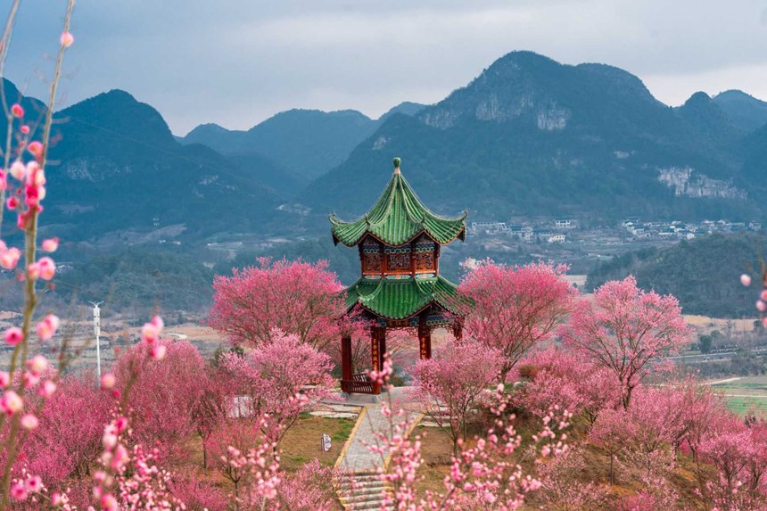 人民日報  People's Daily tweet media