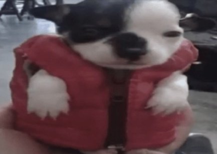 Valevim17's tweet image. Paralelismos cinematográficos 🤪