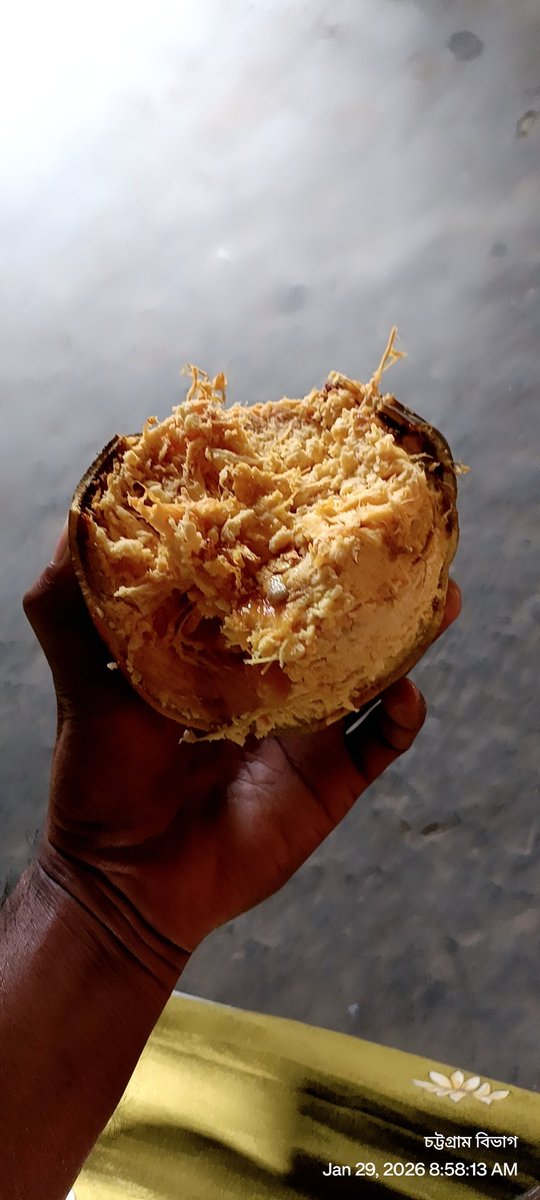 গাছ পাকা বেল