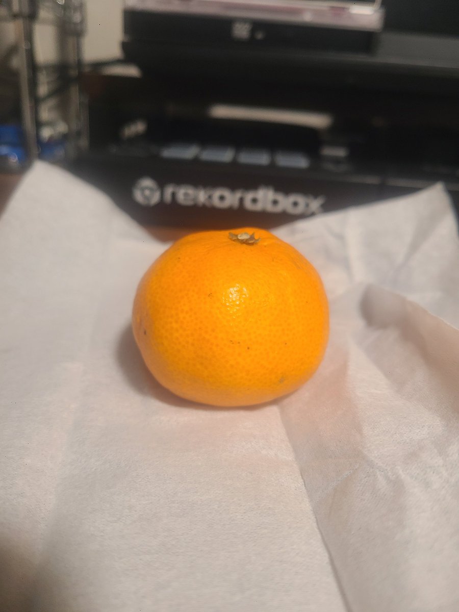 昨日生贄になったみかん🍊