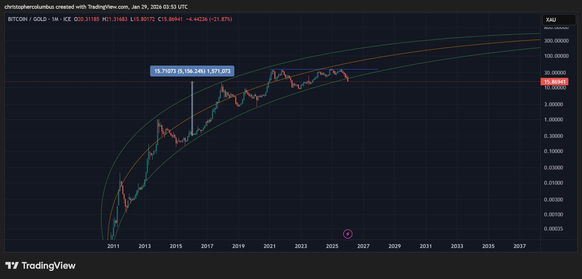 dave the wave🌊🌓 tweet media