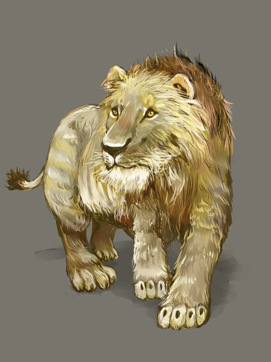 氷河期の日本にもいたらしいホラアナライオン。骨格や生物学的特徴は現生のライオンとそう変わらないらしいですがあまり立派なたてがみ鬣は持っていなかったとか。 